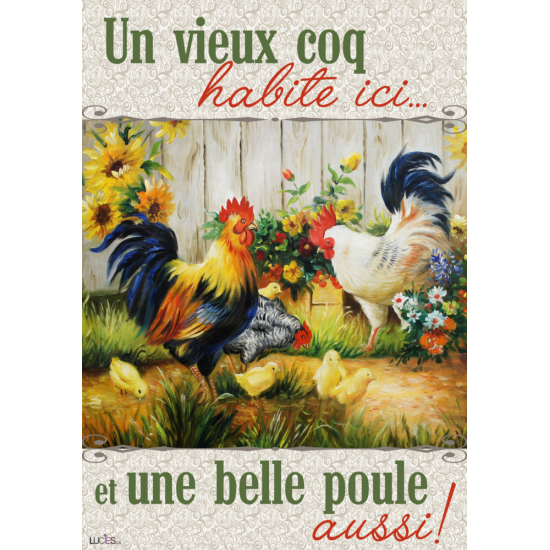 Un vieux coq , une belle poule