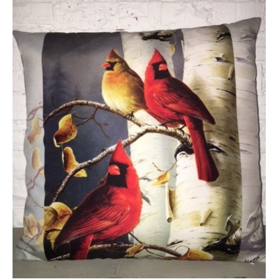  Coussin Oiseaux de chez nous