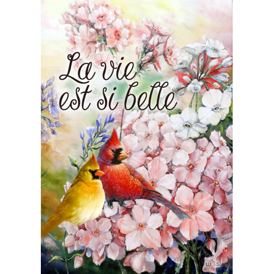 La Vie si Belle 