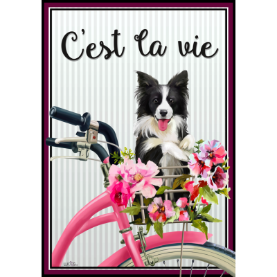 C'est La Vie