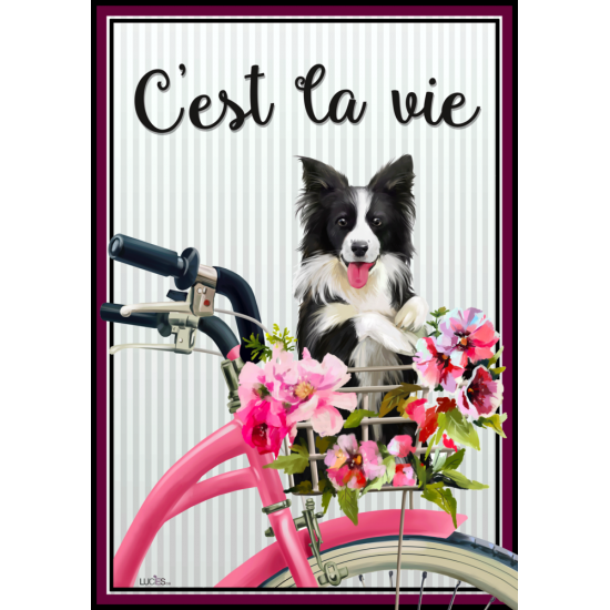 C'est La Vie C'est La Vie