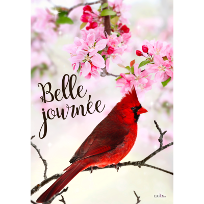 Belle Journée 