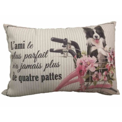  Coussin  L'ami le plus Parfait n'a Jamais plus de...
