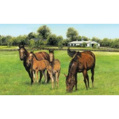 Horse Family by John Ward Mini 12