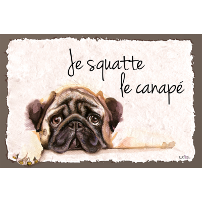  Coussin Je Squatte le Canapé 