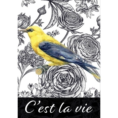 C'est la vie oiseaux jaune C'est la vie oiseaux jaune