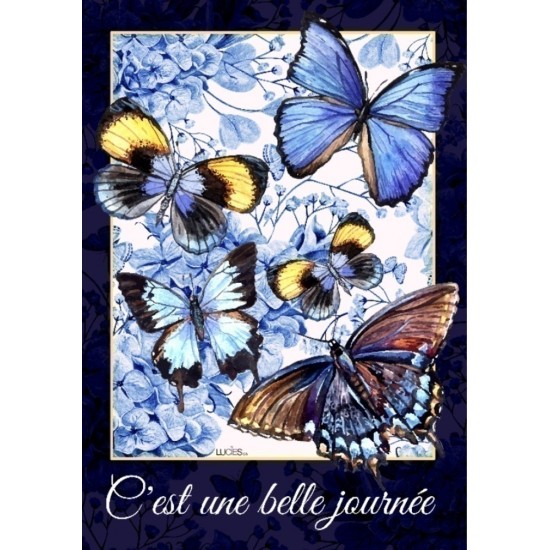 C'est une belle journée 