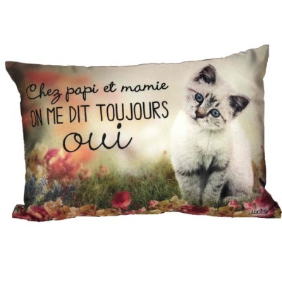 Coussins à texte citation / Chez papi et mamie Coussins à texte citation / Chez papi et mamie