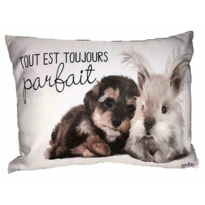  Coussin Tout est toujours parfait 