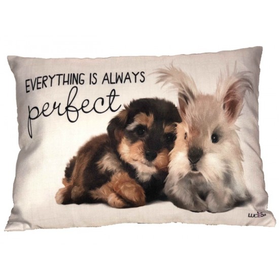  Coussin Everything is always perfect