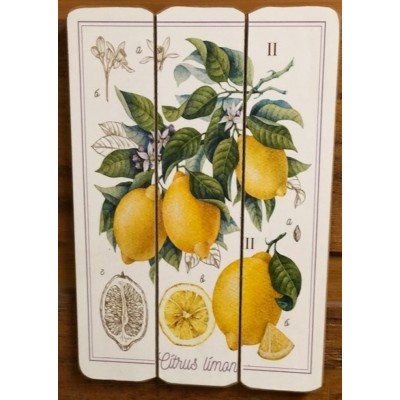 Art mural/ Plaque de Bois Citrus Lime 