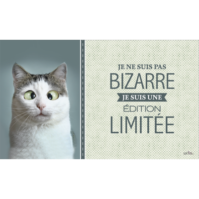  Tablier Chat Bizarre avec pochette avant 10