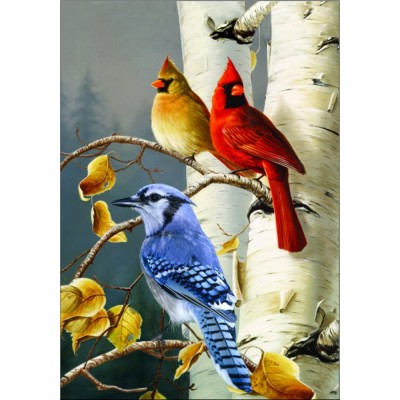 Oiseaux de chez nous 