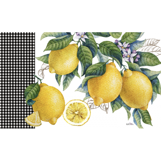 Tapis intérieur extérieur/Citrus Limon 