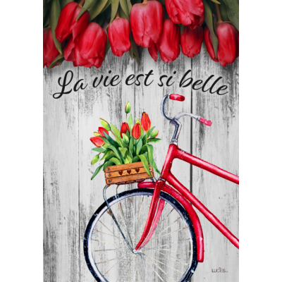 La vie est si belle tulipes