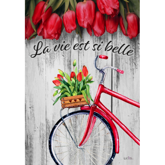 La vie est si belle tulipes