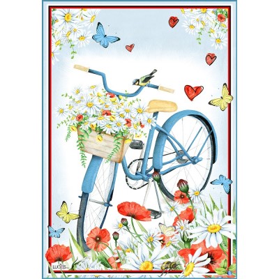Mon Vélo est Bleu