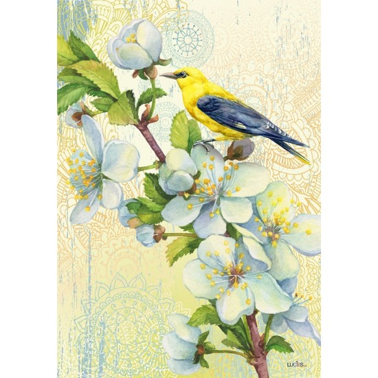 Oiseaux sur la Branche 