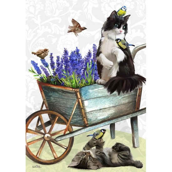 Chaton et fleurs