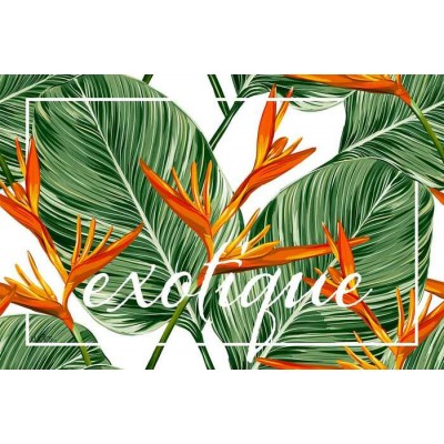  Coussin Exotique 