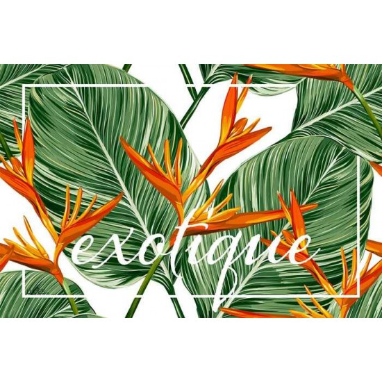  Coussin Exotique 