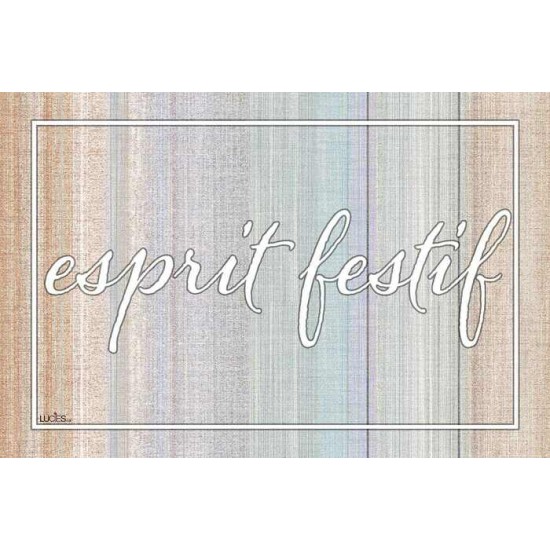  Coussin Esprit Festif  