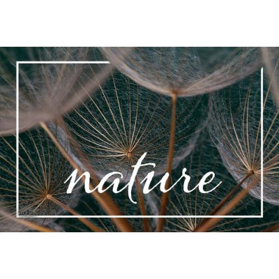  Coussin Nature  