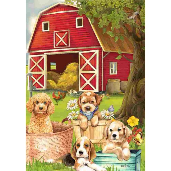 Chiots à la ferme