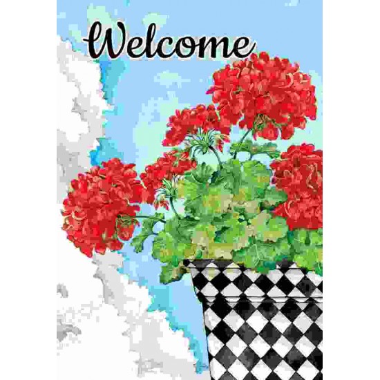 Potted Geranium Mini 12