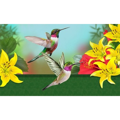 Tapis intérieur extérieur/ Colibris festifs  
