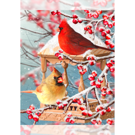 Cardinal dans les baies -