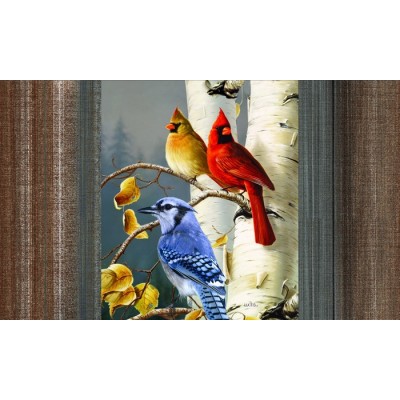 Tapis intérieur extérieur/ Oiseaux de chez nous