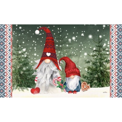 Tapis intérieur extérieur/ Gnomes-...