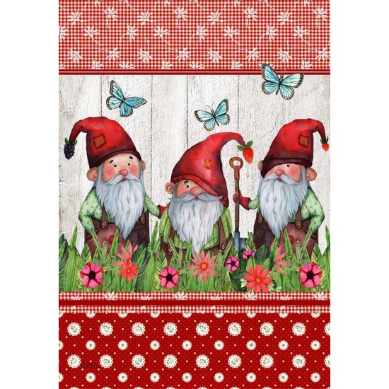 Gnomes