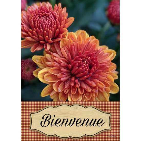Fleurs Bienvenue