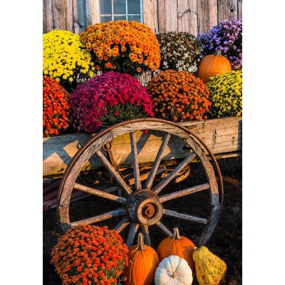Wagon de  fleurs 