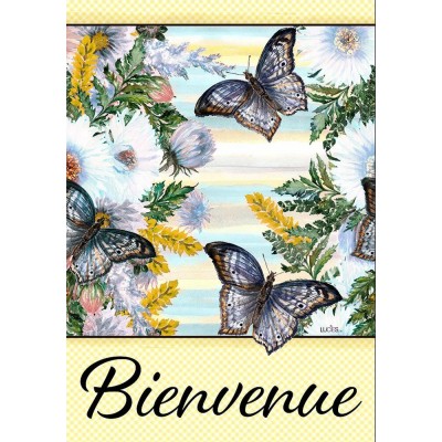 Bienvenue papillons 