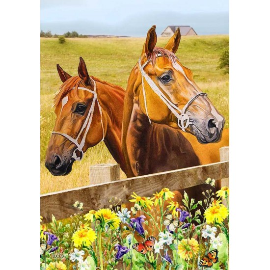 2 Chevaux