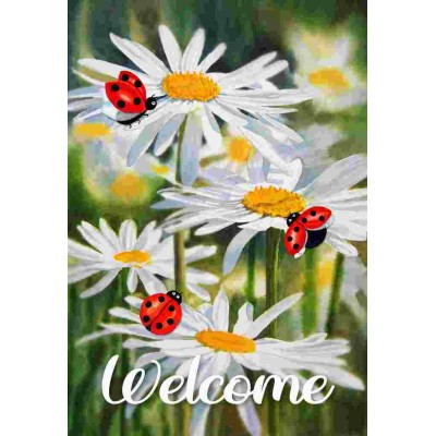 Ladybugs and Daisies