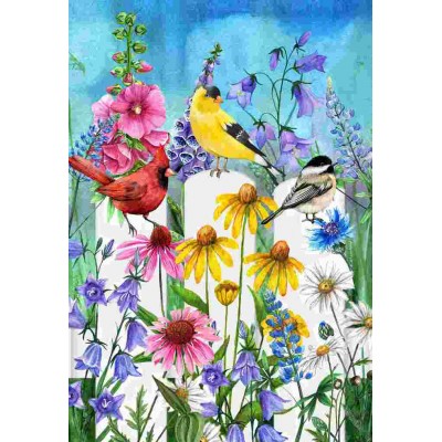 Oiseaux sur clôture