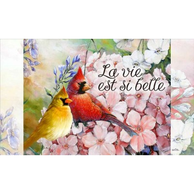 Tapis intérieur extérieur/ La vie est si belle
