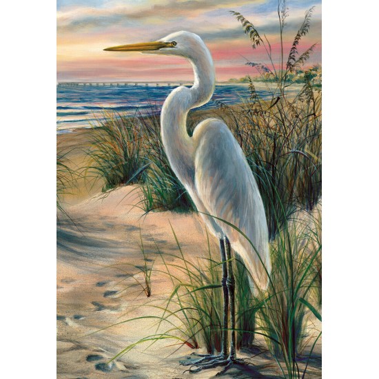 White Egret