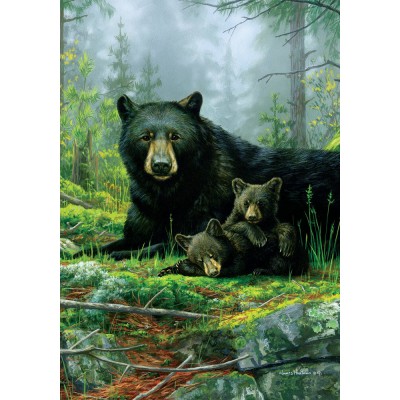 Three Bears