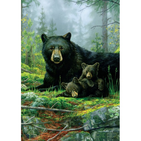 Three Bears
