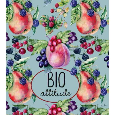 Bio attitude  Lavette suédoise 