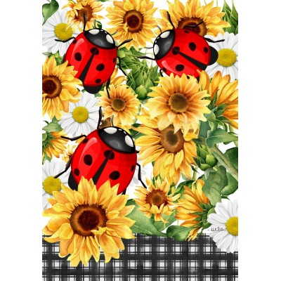 Les coccinelles