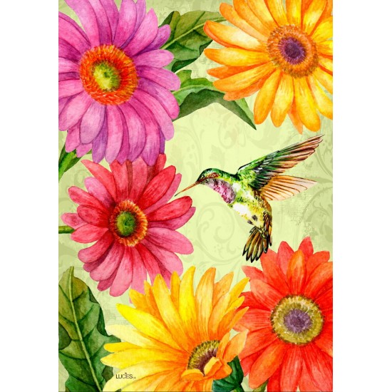 Gerberas