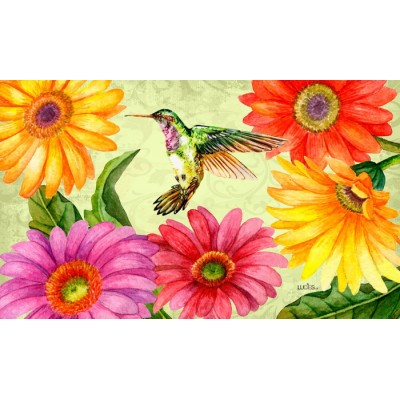 Gerberas
