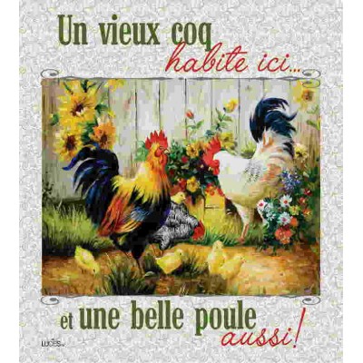 Un vieux Coq, une belle poule  Lavette suédoise