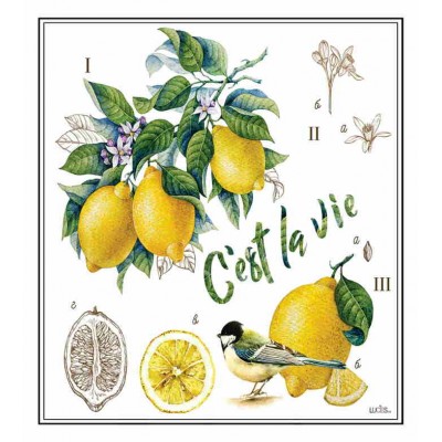 C'est La vie  Lavette suédoise